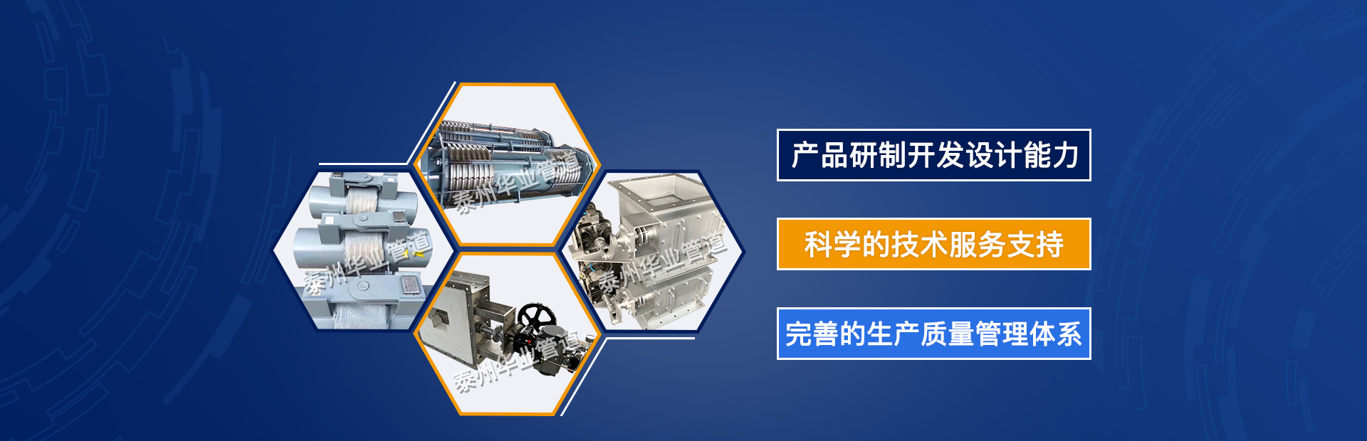 专业团队